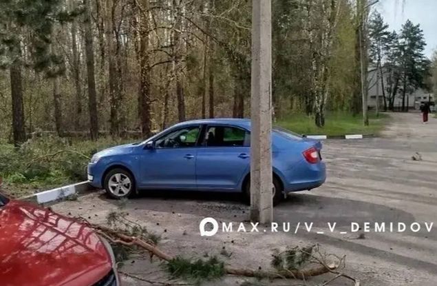 ��������� ����������� �������� ���������� ������