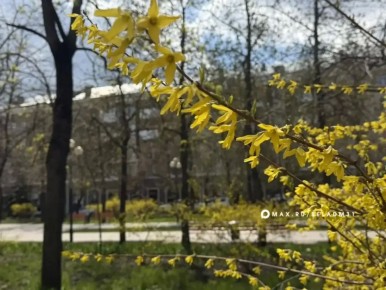 ��� �� ������������ ������, � ����� ��� ��������