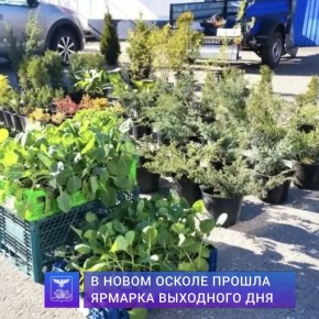 ������ �������: � ����� ������ ������ ������������ ������� ��������� ���, �������������� ������������ �������