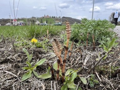 ������ ����������!. �������� �������� �� ����������� �� ������������ ������ ��� ���, ��� ����� �� ������������ ���������� � ����� � ��� ����� ����