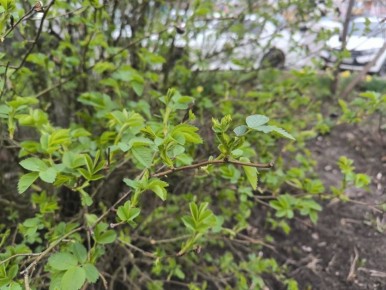 ������ ����, ����������!. � ��� ��� ��� ��� �������