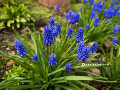 ������ ����, ��������!. �������, 26 ������, ��� ��� �������� � ������������ ������