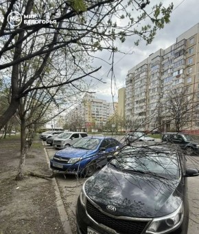 � ��������� ���� �������� ����� ����� �������� ������ �� �������������� ������