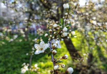 ������� � �� +17��!. � �����������, 26 ������, ����� �������� � ������������ ������