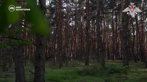 ���������: ������ ���������! �� ��������� � ������� ��������, ������� ����� ������ �����: