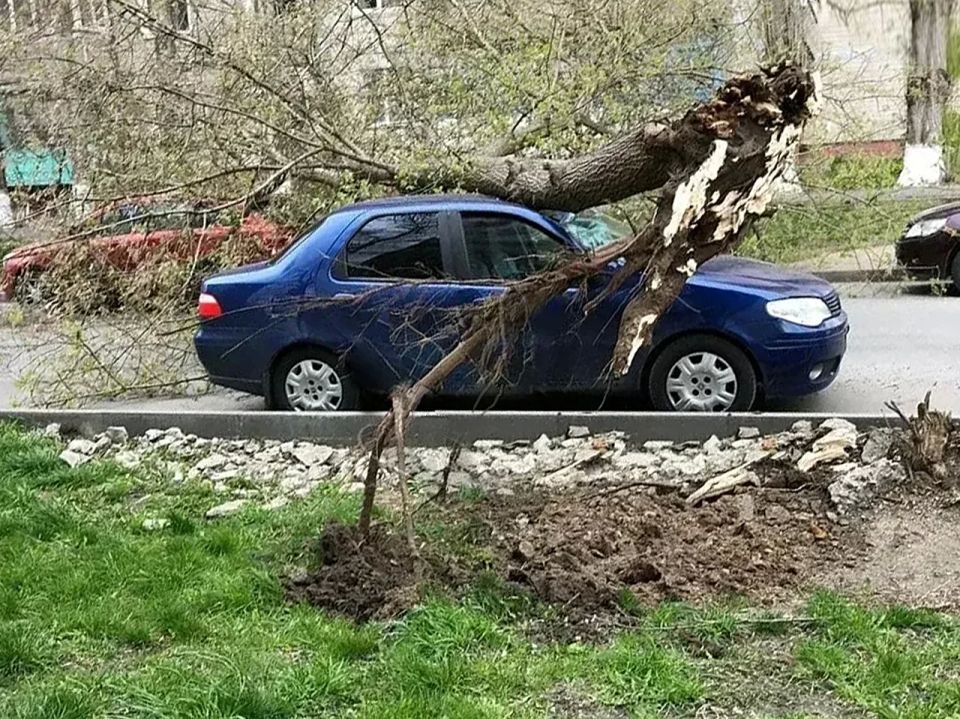 ������ ��������: ��������� ����������� ��������