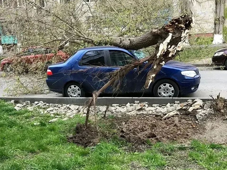 ��-�� �������� ����������� ����� ��������� � ������� ������