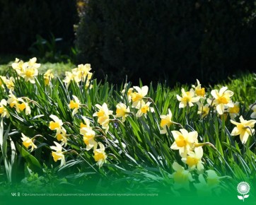 28 ������. ����������� ������� 10�C, ���������� ����������, ��������������� �����