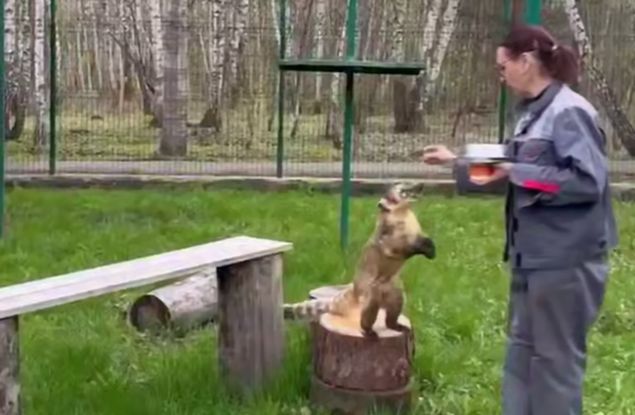 ������������ �������� ���������� ������� ���������� ������