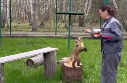 ������������ �������� ���������� ������� ���������� ������