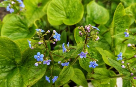 �������, 29 ������, ��� ��� �������� � ������������ ������