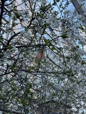 ������ 29 ������. ������� ��������� ������� �����