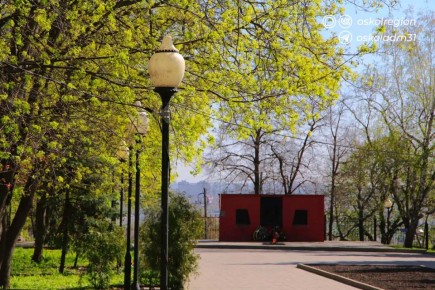 ������ ����, �������������!