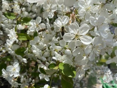 � ������� � ������� ����� ����� � ��������������� ��� �������