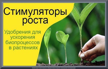 ������� ������������ ����� ��������: ��� ������������ ����������� ��� ����������� ������