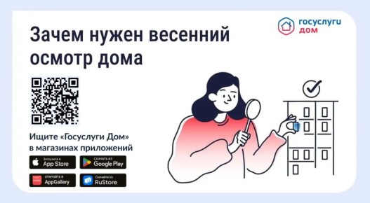 ����� ���� ���� ����� ������