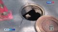 � ��������� ���������� �������� �������������� ��������� �������� �����