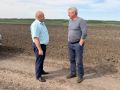 В кооперативе «Драгунский» полным ходом идёт посадка белокочанной капусты — сезон полевых работ в самом разгаре!