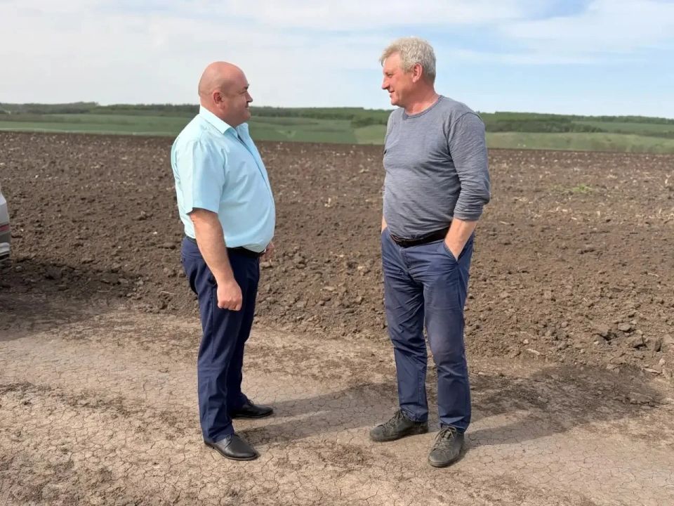 В кооперативе «Драгунский» полным ходом идёт посадка белокочанной капусты — сезон полевых работ в самом разгаре!