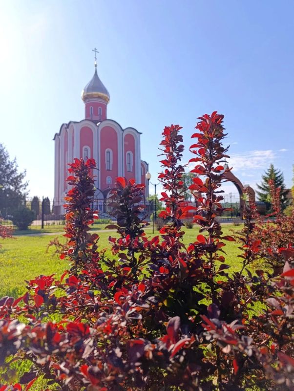 Дорогие земляки!. От всего сердца поздравляем вас с одним из главных православных праздников — Вознесением Господним! Этот светлый день напоминает нам о завершении земного служения Иисуса Христа и Его восхождении к Небесному...