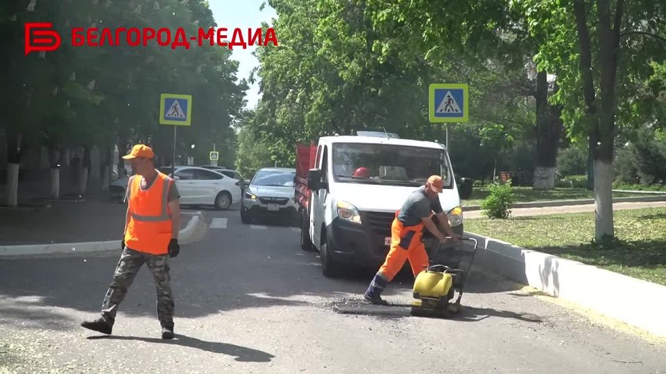 Проект «Берега», лучший учитель в России, открытие школ после капитального ремонта и подготовка к непростому периоду с надеждой на лучшее — так в Белгороде прошёл 2025 год