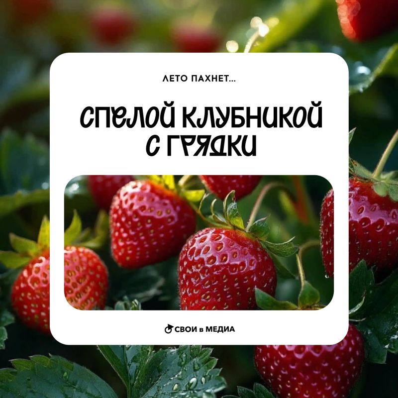 Чувствуешь, чем пахнет? Наступающим летом!
