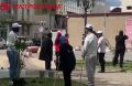 Белгороде студенты-иностранцы высадили на аллее цветущие кусты сирени