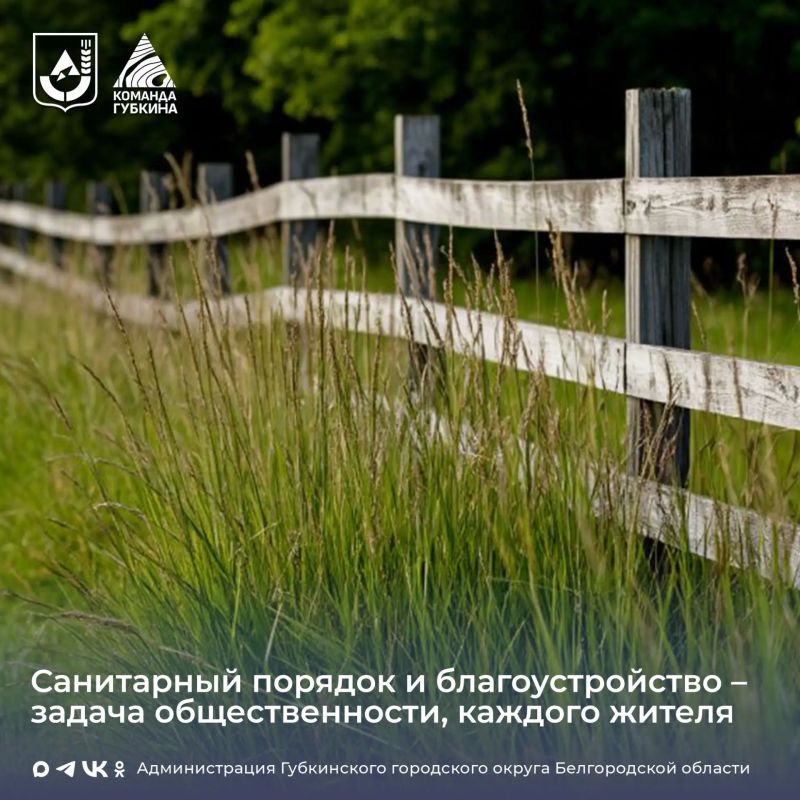 Участие в содержании прилегающих территорий
