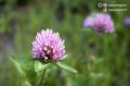 ������ ����, �������������!