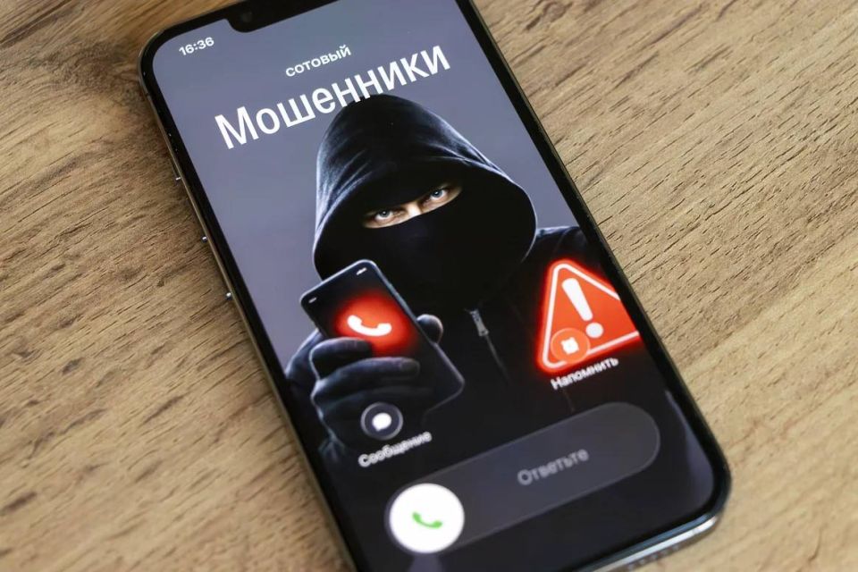 В Тольятти осуждены жители Белгорода, похитившие деньги у семьи участника СВО