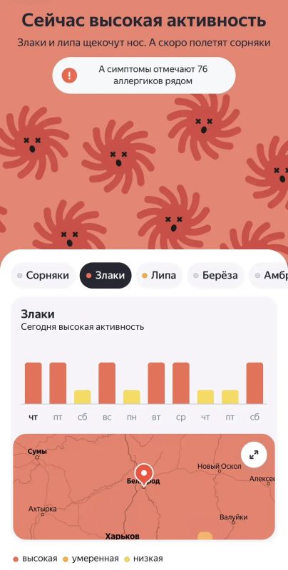 Белгородских аллергиков предупредили о высокой активности пыльцы злаков и липы