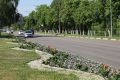 Доброе солнечное утро Желаем вам доброго дня и отличного настроения!
