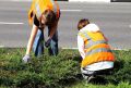 Школьники Старооскольского округа подрабатывают на летних каникулах