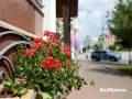 Доброе утро, белгородцы!. Сегодня воздух прогреется до + 26°