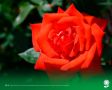 29 ����. ����������� ������� 24�C, ���������� ����������, ��������������� �����