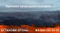 Цена беспечности. Каждый год леса и поля страдают от пожаров, и главная причина — человеческий фактор