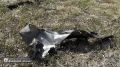 Александр Шуваев побывал на местах прилётов в Белгороде после теракта ВСУ