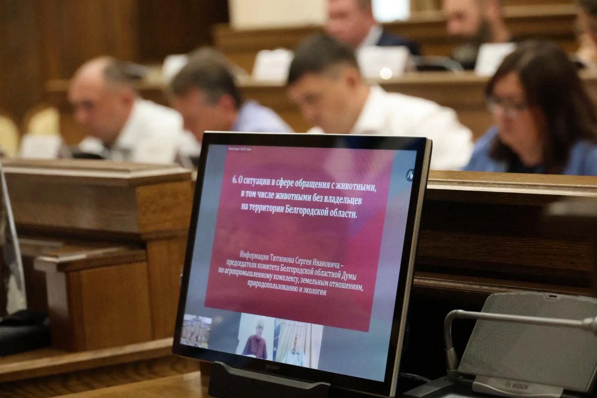Юрий Клепиков: Другой важной темой, обсуждаемой сегодня на заседании профильного комитета, стало обращение с бездомными животными