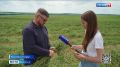 В Яковлевском округе началась уборочная кампания
