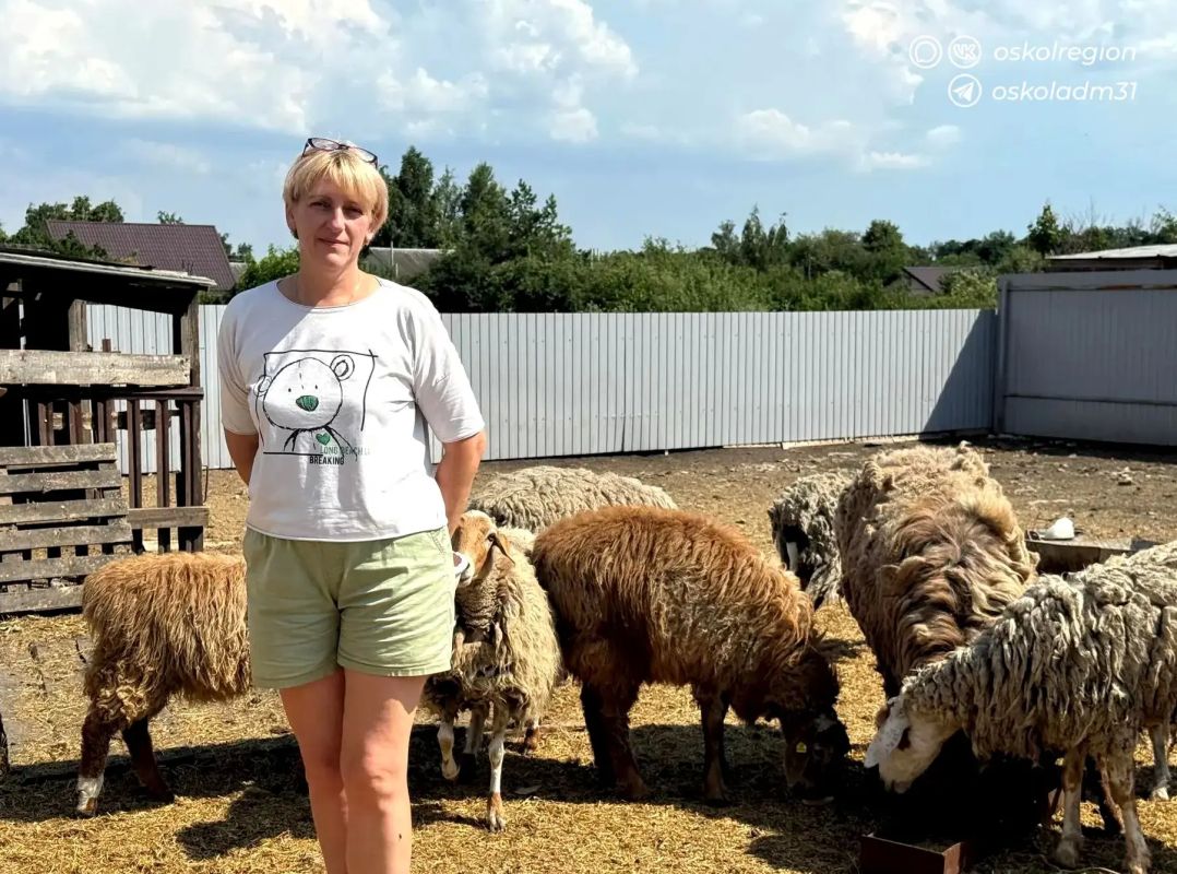 Оскольчанка развивает личное подсобное хозяйство благодаря социальному контракту