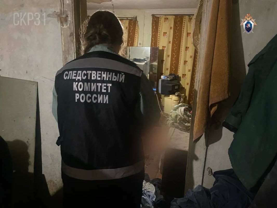 Следователями СК завершено расследование в отношении жителя Борисовского района, обвиняемого в убийстве мужчины
