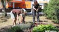 ����� � 45 ��������� ���������� ����� ����� ��������� ������