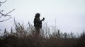 В Чернянском округе чествовали семью военнослужащего Всеволода Батырь