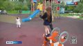 � ���� ���� ���� �����, ����� � �������� ��� ���� ������� � ����, �������� �������
