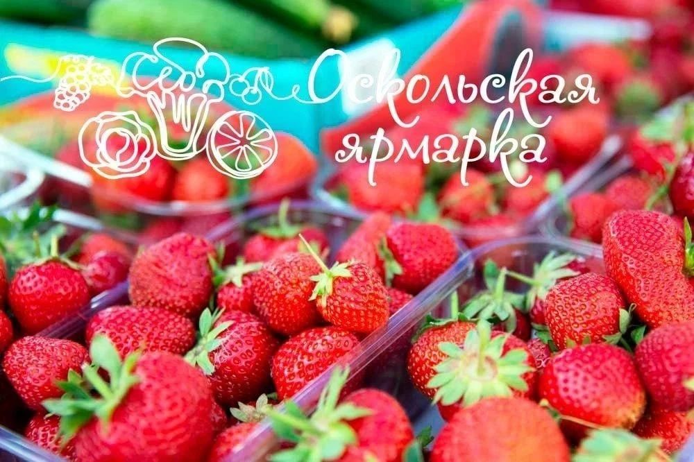 Фермерская ярмарка в Старом Осколе!