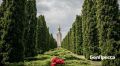 Тест: как хорошо вы знаете историю битвы под Прохоровкой?