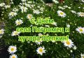 От всей души поздравляем жителей села Погромец и хутора Щепкин с Днём рождения сёл!
