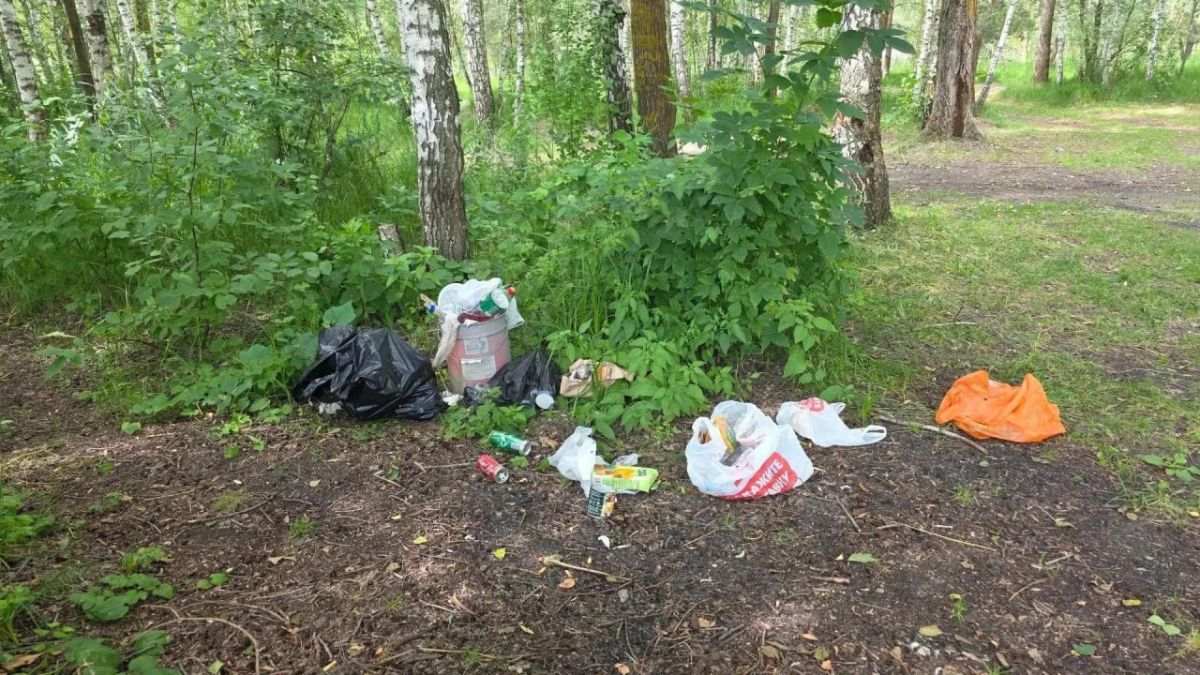 В Белгороде привели в порядок берег Северского Донца