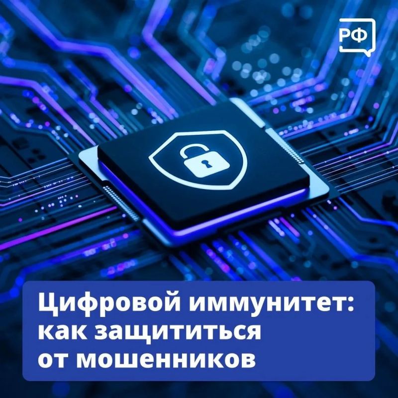 Вы спите — и вдруг звонок. А в трубке — голос близкого человека, который просит о помощи.