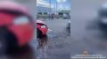 ��� ��������� ���������� � ������� � ������� �� ����� ����� ������� � �������� �� ����� �. �������� 71-������ ������� �� ���� �������� �� ���������� �������� � �����. � ���������� �������� ��������, � ����� ���...